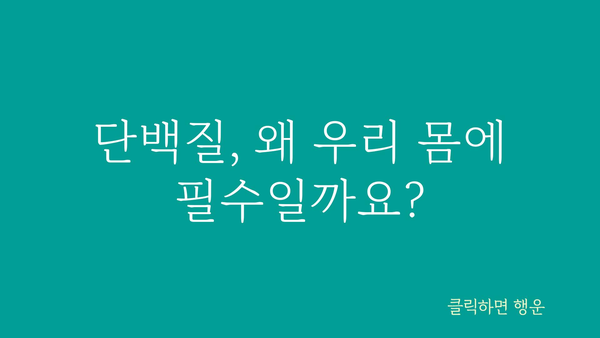 단백질 효능, 건강과 몸매를 위한 필수 영양소 | 단백질, 건강, 몸매, 다이어트, 근육