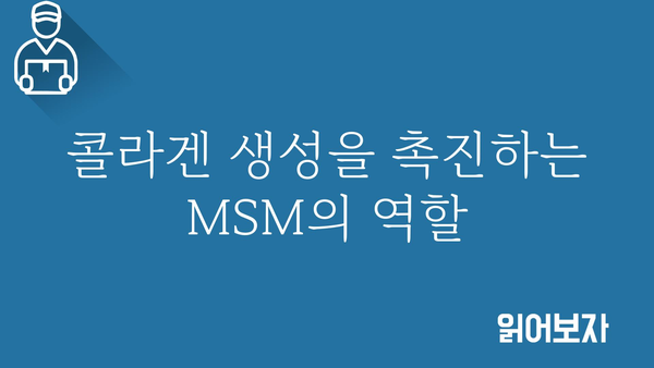 MSM 효능 총정리 | 관절 건강, 콜라겐 생성, 항염 효과, MSM 복용법