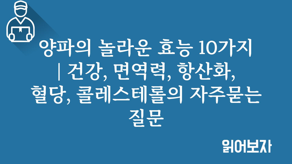 양파의 놀라운 효능 10가지 | 건강, 면역력, 항산화, 혈당, 콜레스테롤