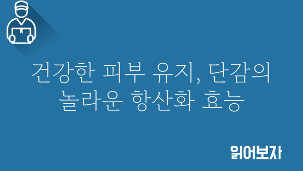 단감의 놀라운 효능 10가지 | 건강, 면역력, 피부, 항산화