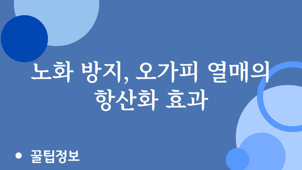 오가피 열매의 놀라운 효능 7가지 | 건강, 면역력, 항산화, 오가피 효능, 오가피 차, 오가피 열매 섭취