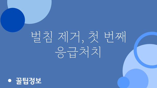 벌에 쏘였을 때? 침착하게 대처하는 방법 | 응급처치, 알레르기, 벌쏘임