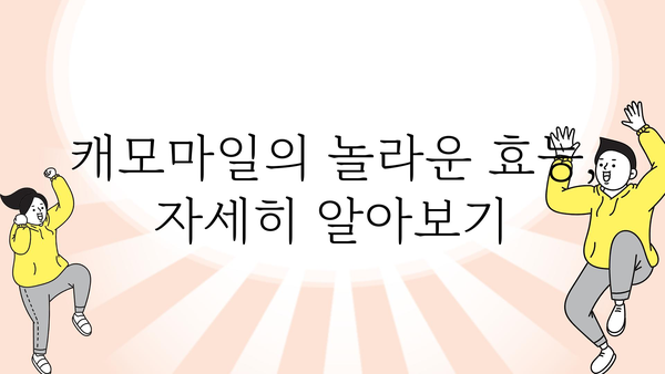 캐모마일 효능 총정리| 숙면, 소화, 피부까지! | 캐모마일 차, 건강, 효과, 부작용, 주의사항