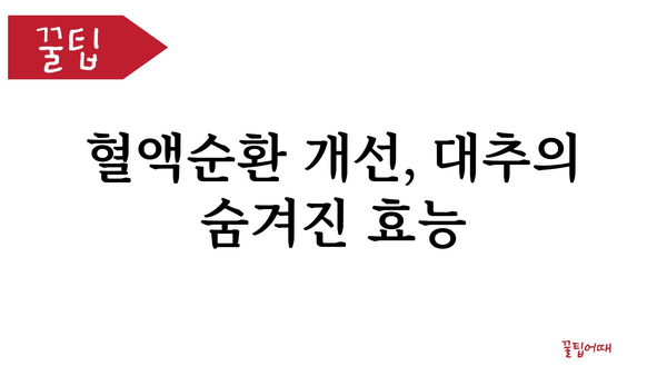 대추의 놀라운 효능 10가지 | 건강, 면역력, 피부, 혈액순환, 항산화