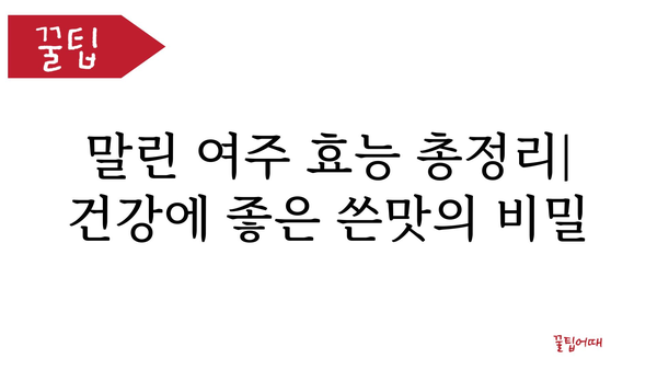 말린 여주 효능 총정리| 건강에 좋은 쓴맛의 비밀 | 혈당, 면역, 혈관 건강, 다이어트 효능, 부작용