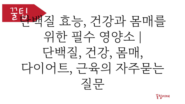 단백질 효능, 건강과 몸매를 위한 필수 영양소 | 단백질, 건강, 몸매, 다이어트, 근육