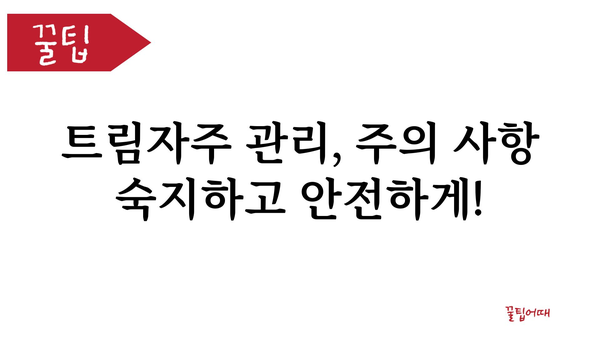 트림자주 관리의 모든 것| 팁, 방법, 그리고 주의 사항 | 트림, 잔털, 미용, 관리, 팁, 방법, 주의 사항