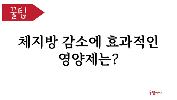 다이어트 성공을 위한 맞춤 영양제 선택 가이드 | 다이어트, 영양제 추천, 건강, 체중 감량