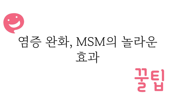 MSM 효능 총정리 | 관절 건강, 콜라겐 생성, 항염 효과, MSM 복용법