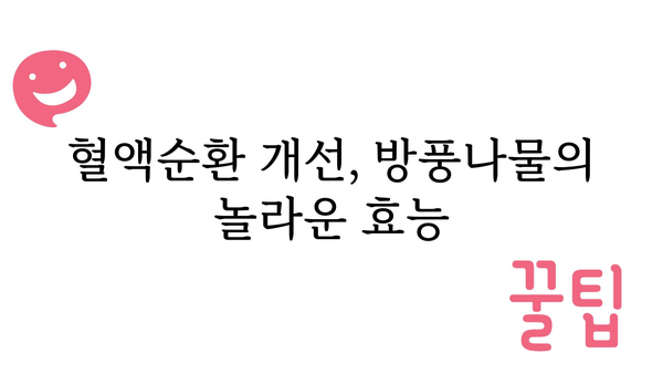 방풍나물 효능 총정리| 건강 지키는 봄나물의 놀라운 비밀 | 봄나물, 건강, 면역력, 혈액순환, 소화