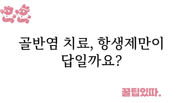 골반염 치료| 증상, 원인, 치료법 완벽 가이드 | 여성 질환, 골반 통증, 항생제