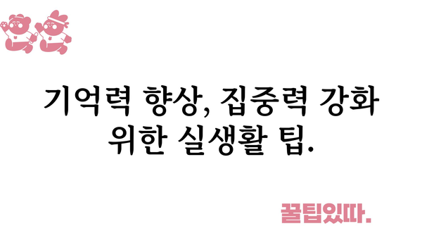 건망증 극복, 나에게 맞는 방법 찾기 | 기억력 향상, 집중력 강화, 건망증 원인, 해결책