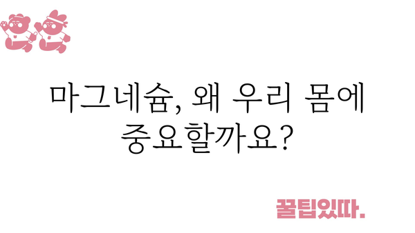 마그네슘 하루 권장량| 건강한 삶을 위한 필수 영양소 | 마그네슘, 건강, 영양, 부족 증상, 섭취 방법