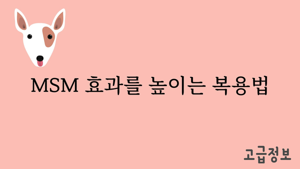 MSM 효능 총정리 | 관절 건강, 콜라겐 생성, 항염 효과, MSM 복용법