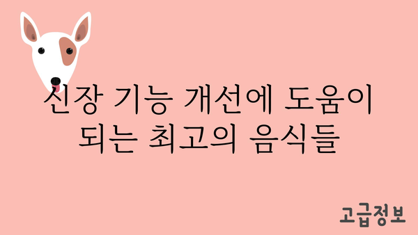 신장 건강 지키는 10가지 음식 | 신장에 좋은 음식, 신장 기능 개선, 신장 건강 관리