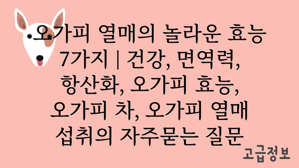 오가피 열매의 놀라운 효능 7가지 | 건강, 면역력, 항산화, 오가피 효능, 오가피 차, 오가피 열매 섭취