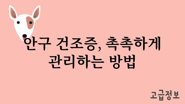 눈시림 원인과 해결책| 눈 피로 완화를 위한 7가지 방법 | 눈 건강, 눈 피로, 안구 건조, 눈 시력