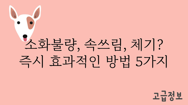 체했을 때 즉시 해소하는 5가지 방법 | 소화불량, 속쓰림, 체기, 응급처치, 민간요법