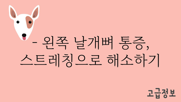 왼쪽 날개뼈 통증, 왜 그럴까요? 원인과 해결책 | 통증, 원인, 해결책, 운동, 스트레칭