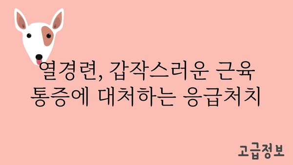 열경련, 원인과 증상 그리고 해결책 | 근육 경련, 건강 정보, 응급처치