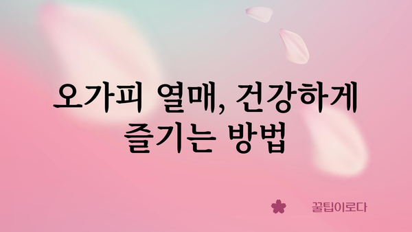 오가피 열매의 놀라운 효능 7가지 | 건강, 면역력, 항산화, 오가피 효능, 오가피 차, 오가피 열매 섭취