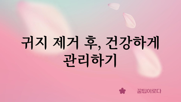 귀지 제거, 안전하고 효과적으로 하는 방법 | 귀지 제거 도구, 귀지 제거 주의사항, 귀지 제거 팁