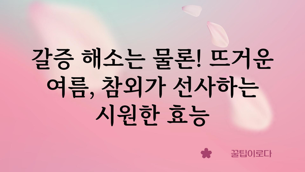 참외의 놀라운 효능 7가지 | 여름철 건강 지키는 비법, 참외 효능 제대로 알아보기