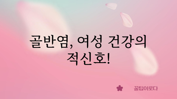 골반염 원인| 여성 건강, 놓치지 말아야 할 핵심 정보 | 골반염, 원인, 증상, 예방, 치료