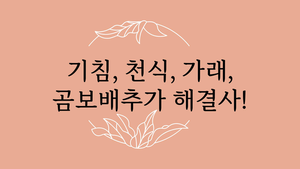 곰보배추 효능 총정리| 건강 지키는 10가지 놀라운 효과 | 곰보배추, 약효, 민간요법, 건강 팁