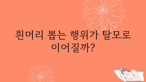 흰머리 뽑으면 더 나는 건 사실일까요? | 흰머리, 뽑기, 탈모, 원인, 관리