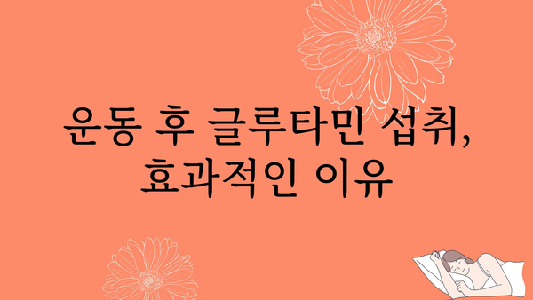 글루타민의 효능과 섭취 방법| 건강 증진을 위한 완벽 가이드 | 건강, 영양, 운동, 보충제