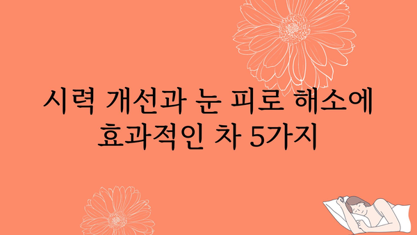 눈 건강 지키는 5가지 차 | 눈 건강 차, 시력 개선, 눈 피로 해소