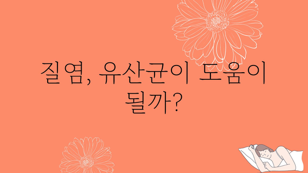 질 건강 개선을 위한 유산균 선택 가이드 | 여성 건강, 질염, 유산균 추천, 효능