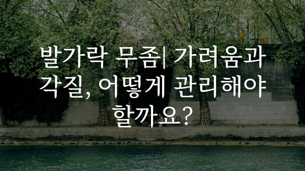 무좀 종류별 증상과 치료법 완벽 가이드 | 발가락 무좀, 손톱 무좀, 족저 사마귀, 진균 감염