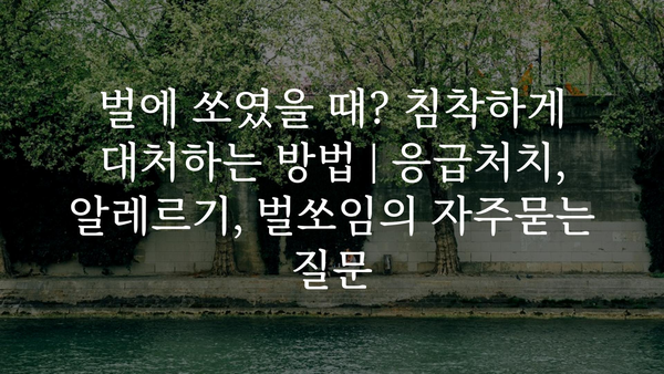 벌에 쏘였을 때? 침착하게 대처하는 방법 | 응급처치, 알레르기, 벌쏘임