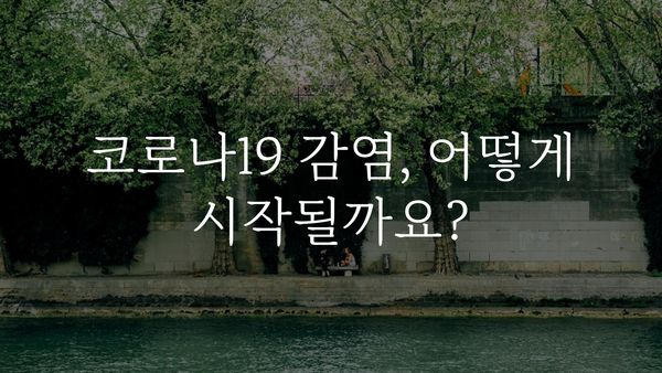 코로나19 증상 나타나는 순서| 초기부터 심각 단계까지 | 코로나 증상, 감염 단계, 증상별 대처법