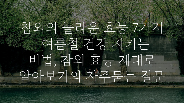 참외의 놀라운 효능 7가지 | 여름철 건강 지키는 비법, 참외 효능 제대로 알아보기