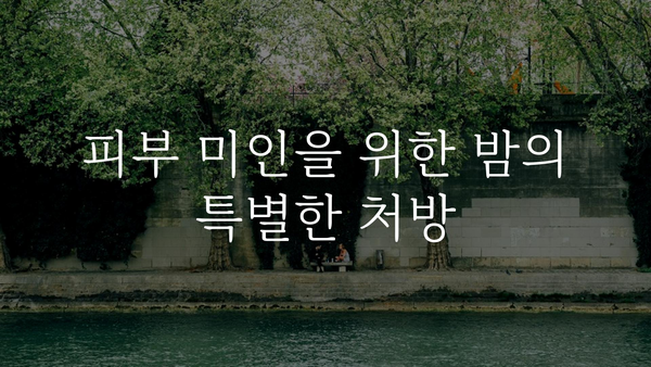 밤의 놀라운 효능 7가지 | 숙면, 건강, 피부, 다이어트, 밤의 효능, 밤 먹는법, 밤 효능 알아보기