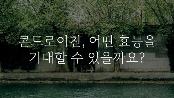 콘드로이친 효능 총정리| 건강과 관절, 어떻게 도움이 될까요? | 건강, 관절 건강, 연골, 효능, 부작용