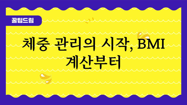 체질량지수 계산 및 건강 관리 가이드 | BMI, 건강 지표, 체중 관리, 비만