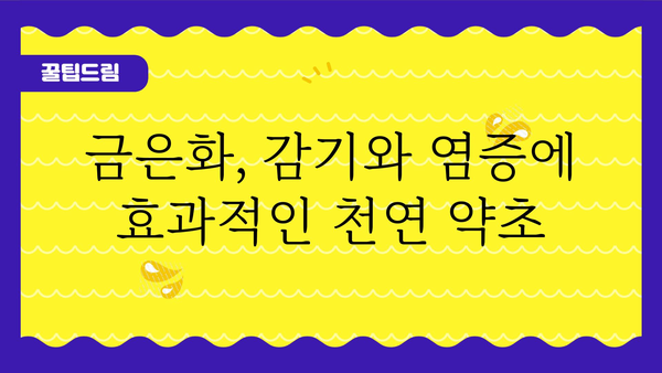 금은화의 놀라운 효능 7가지 | 금은화차, 금은화 효능, 금은화 부작용, 금은화 먹는법