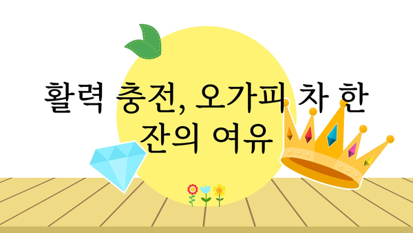 오가피 열매의 놀라운 효능 7가지 | 건강, 면역력, 항산화, 오가피 효능, 오가피 차, 오가피 열매 섭취