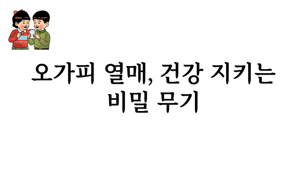 오가피 열매의 놀라운 효능 7가지 | 건강, 면역력, 항산화, 오가피 효능, 오가피 차, 오가피 열매 섭취