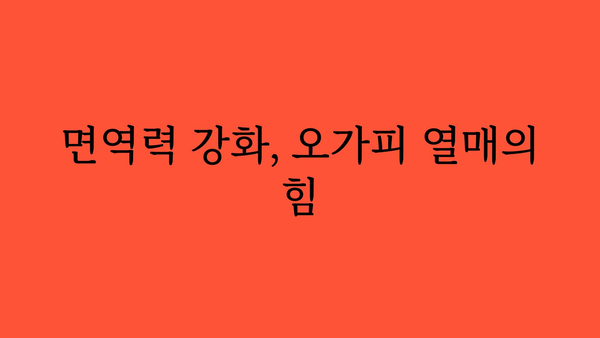 오가피 열매의 놀라운 효능 7가지 | 건강, 면역력, 항산화, 오가피 효능, 오가피 차, 오가피 열매 섭취