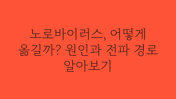 노로바이러스 증상, 혹시 나도? | 노로바이러스 감염 증상, 원인, 예방법