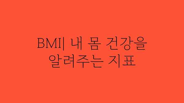 체질량지수 계산 및 건강 관리 가이드 | BMI, 건강 지표, 체중 관리, 비만