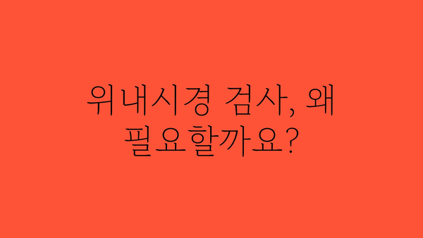 위내시경 검사 전 알아야 할 모든 것 | 위내시경, 검사 준비, 주의 사항, 결과 해석