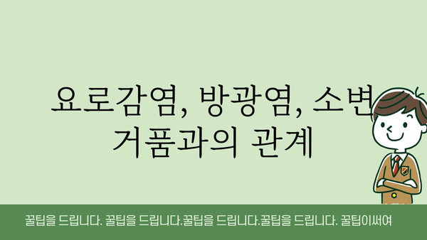 아침 소변 거품, 걱정되시나요? 원인과 해결책 알아보기 | 건강, 소변, 거품, 요로감염, 방광염