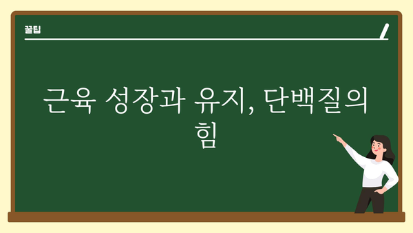 단백질 효능, 건강과 몸매를 위한 필수 영양소 | 단백질, 건강, 몸매, 다이어트, 근육