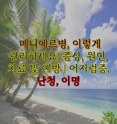 메니에르병